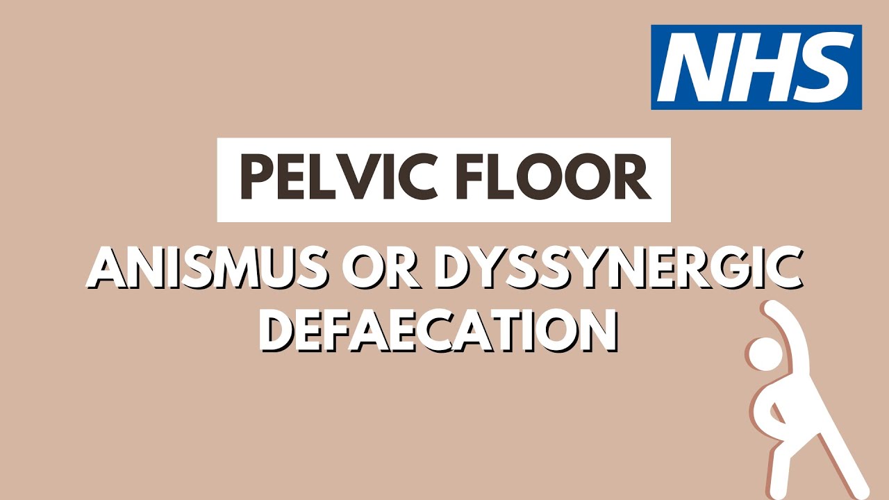 Anismus or Dyssynergic Defaecation - Leicester Pelvic Floor Service | UHL NHS Trust