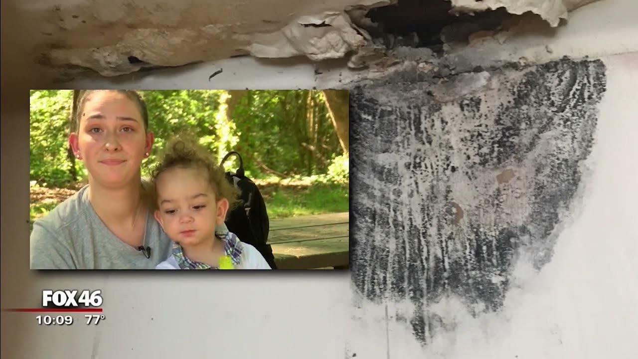 HUD-funded apartment complex confronted after denying documented mold issues, health concerns