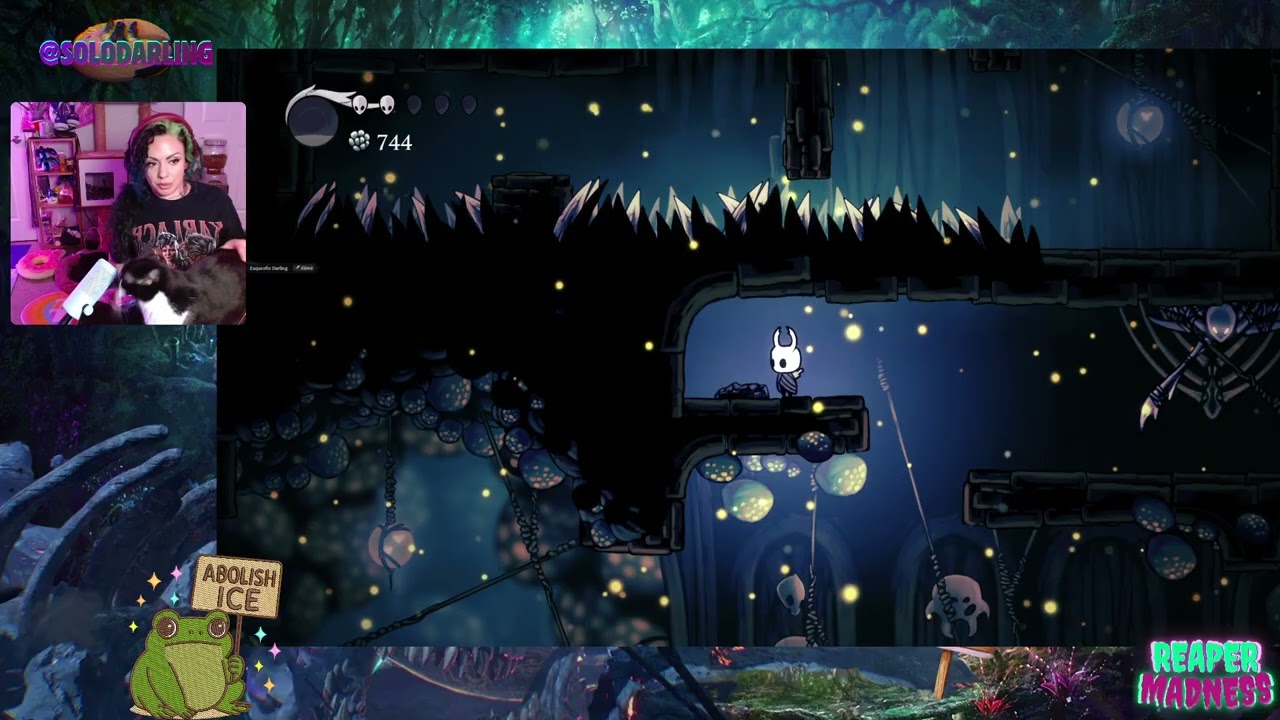 Buster's Stream - Hollow Knight