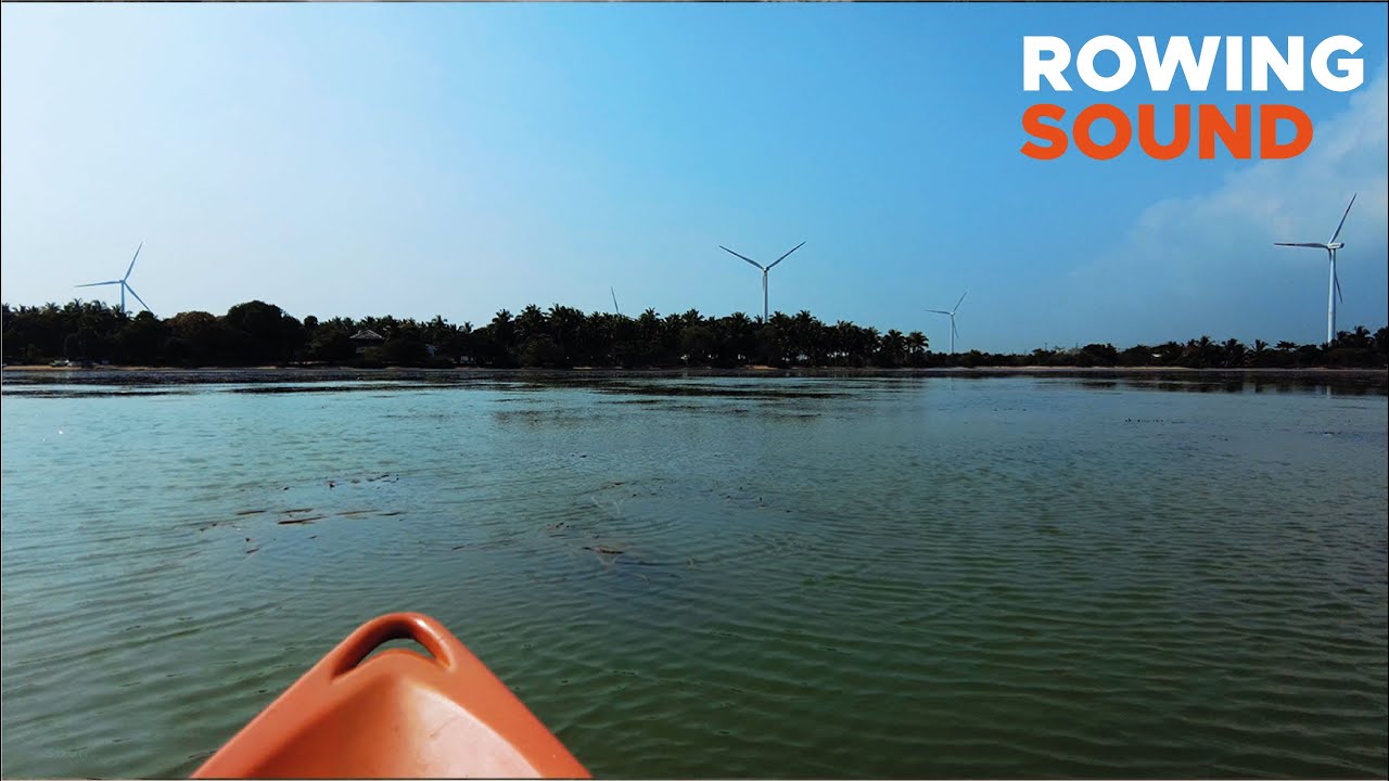 Relaxing Rowing Boat Sounds in lake | 4k ASMR