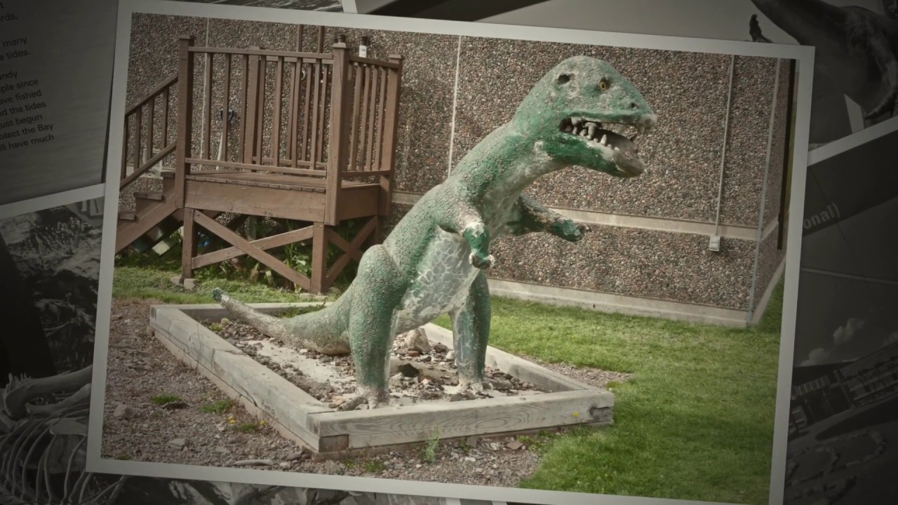 Fundy Geological Museum&copy;