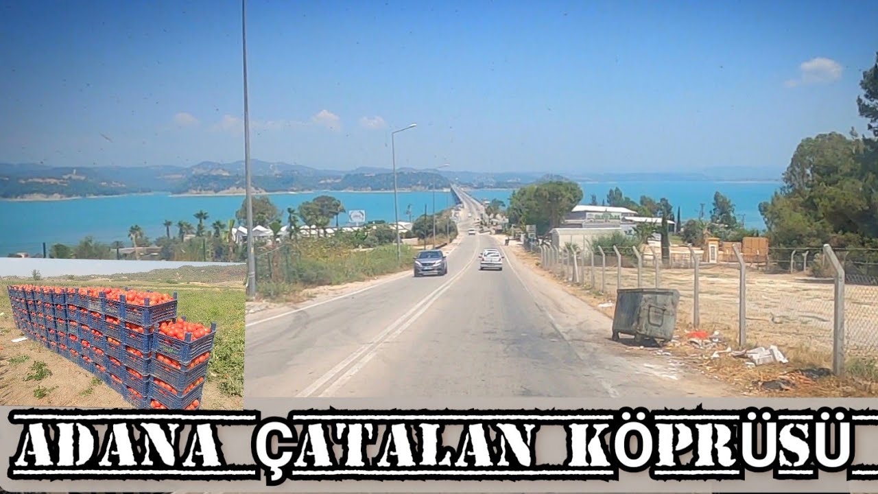 Adana çatalan baraj gölü domates biber patlıcan hasadı. Takipçimizin davetine icabet ettik.