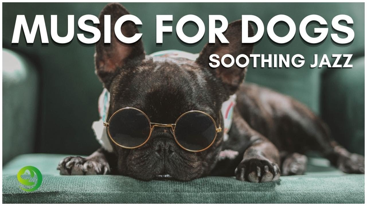 Jazz Music For Dogs - Relaxing Dog Music To Calm Anxiety | Dog Music Therapy Calming Aid