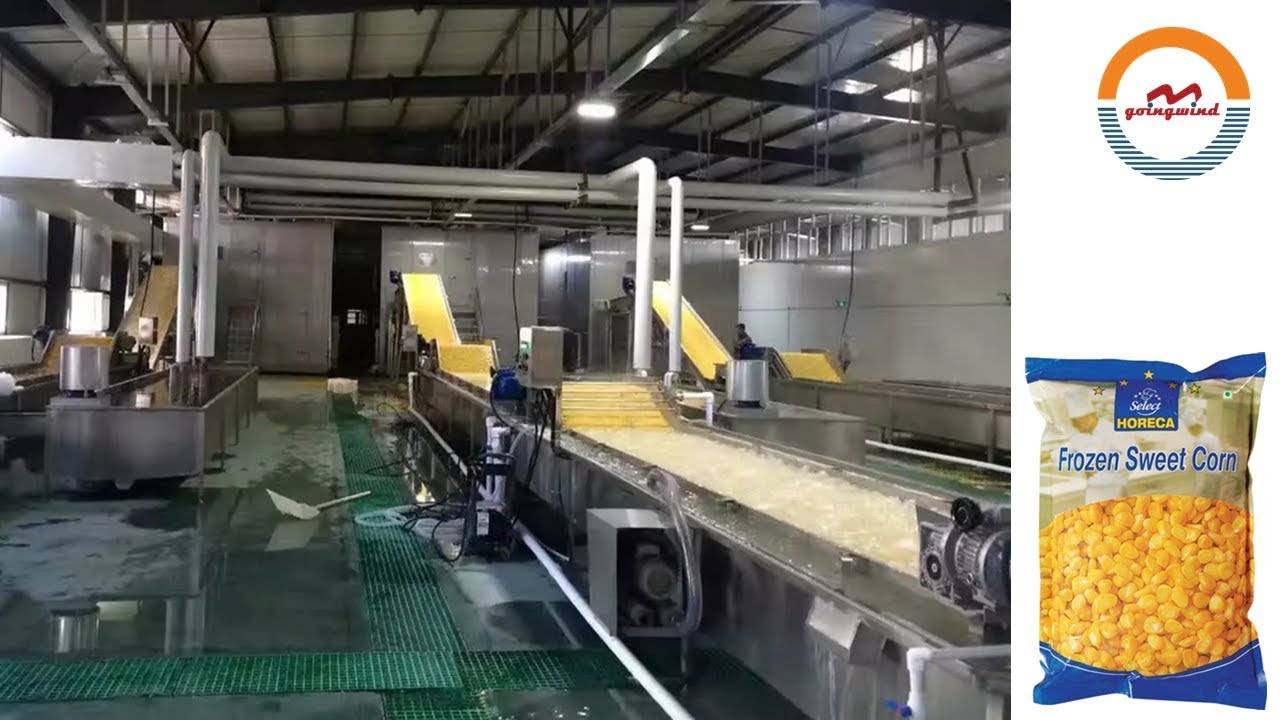 Automatic frozen sweet corn production line auto frozen fruit & vegetable processing plant
