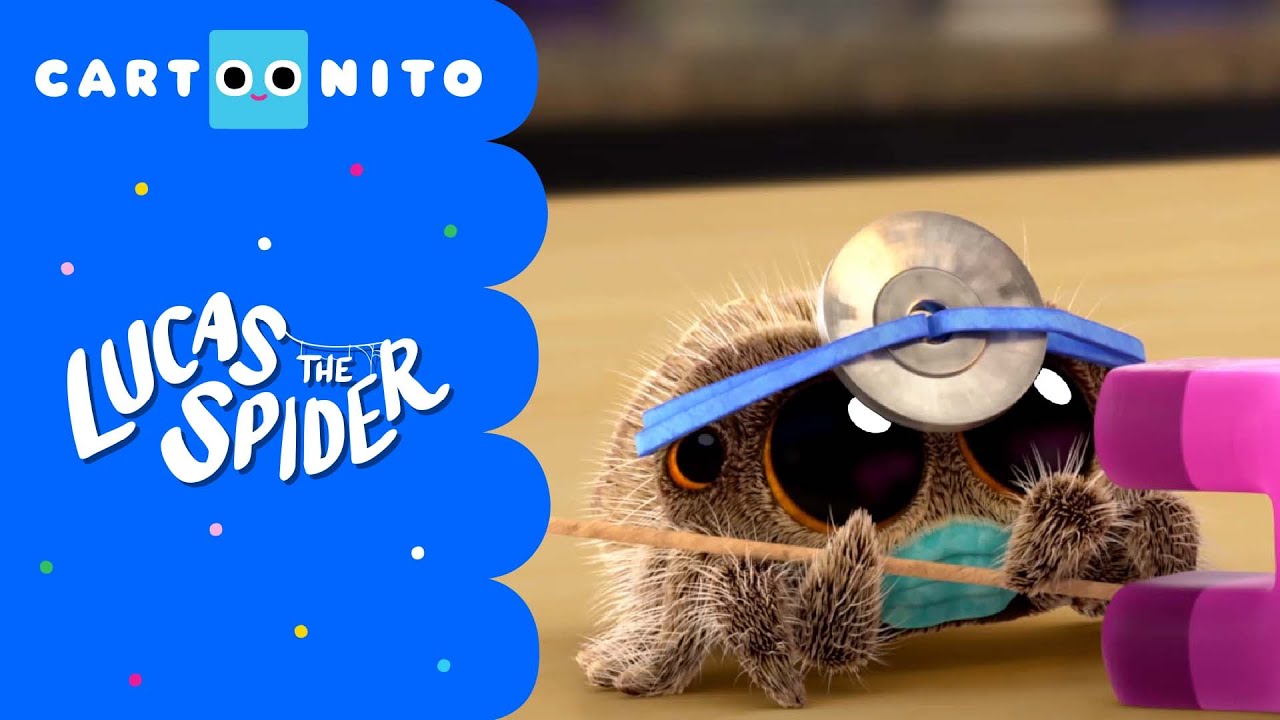 Lucas The Spider | The Big Sqeak | Cartoonito