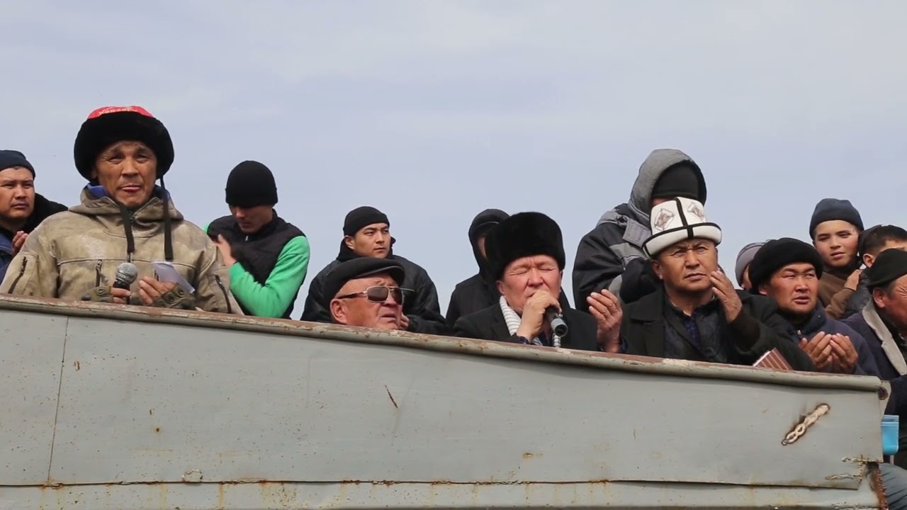 Төөлөс аймагы берген аламан улак