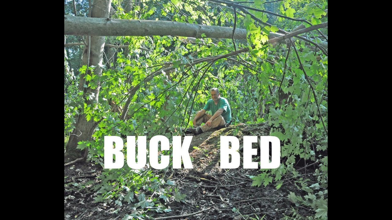 Building a Buck Bed in a Swamp