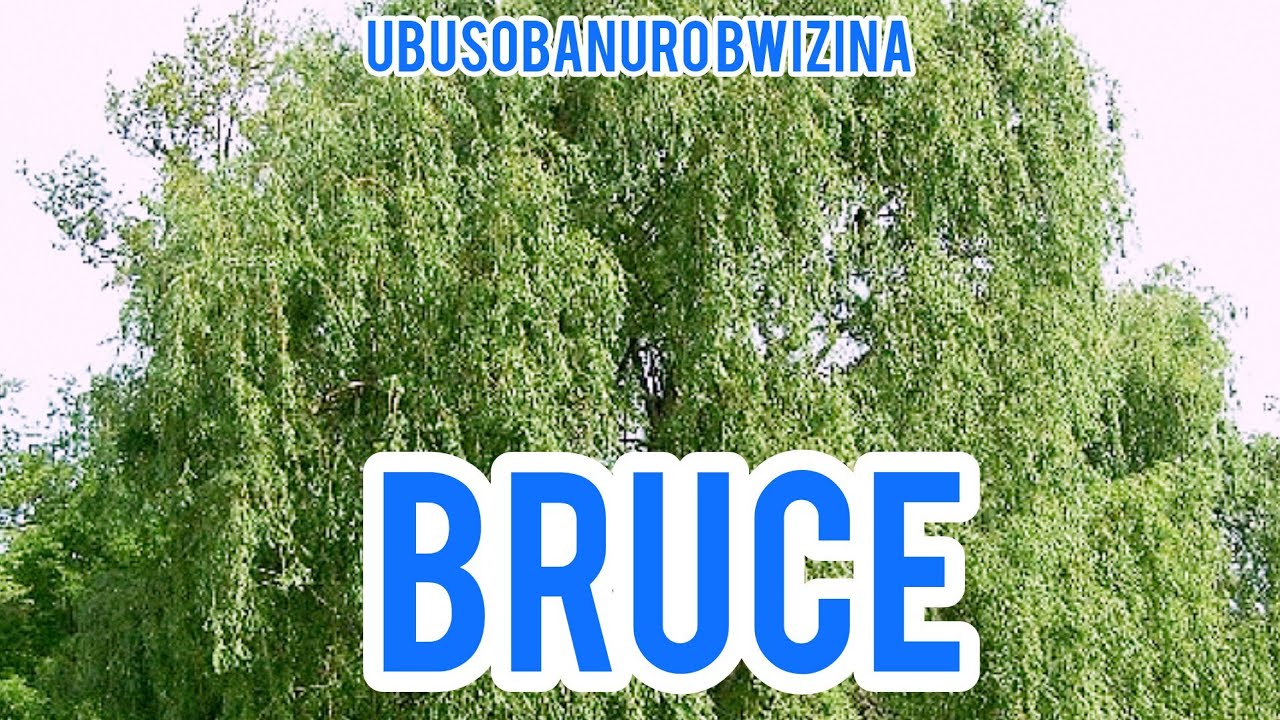 UBUSOBANURO BWIZINA BRUCE