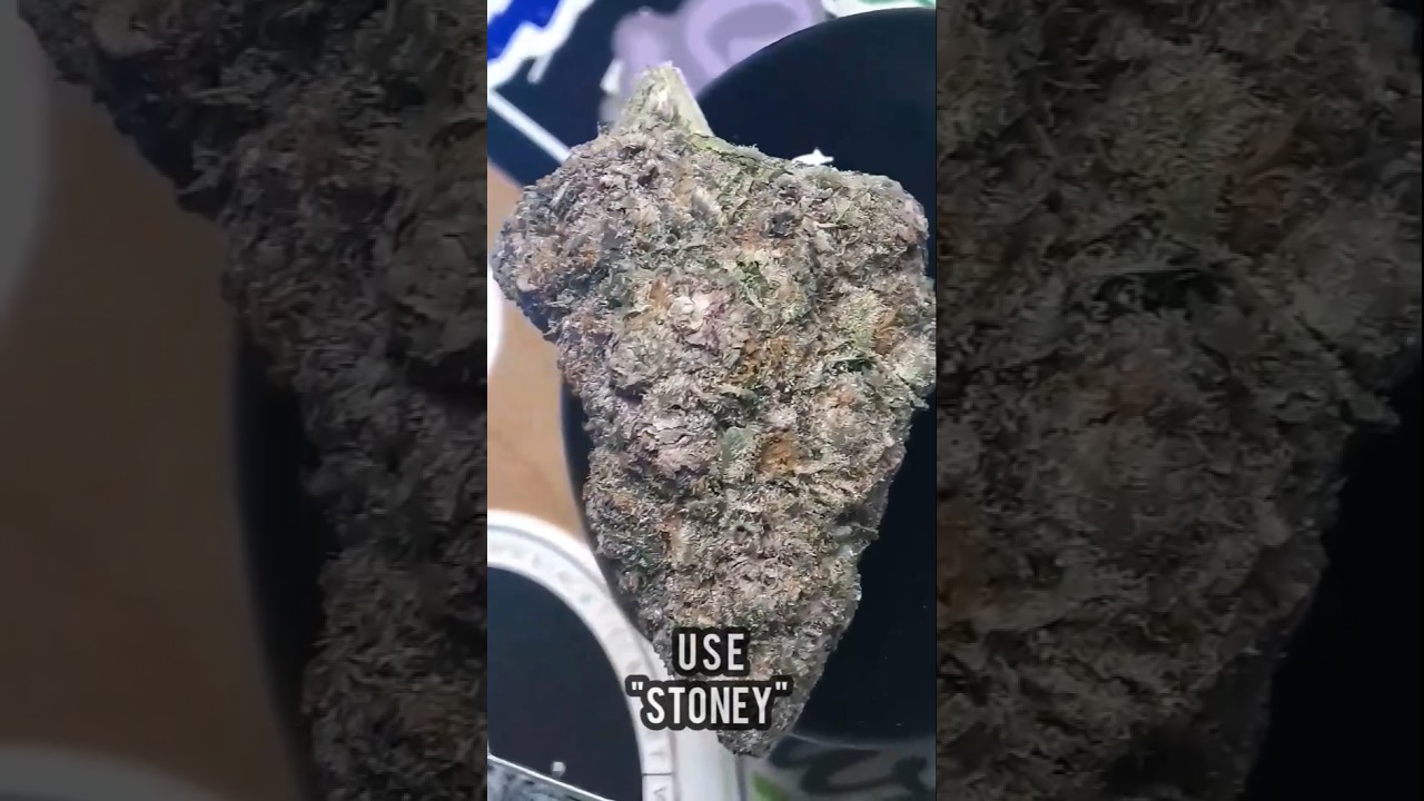 Обзор Thca King Superboof Budget EXOTIC Thca Flower