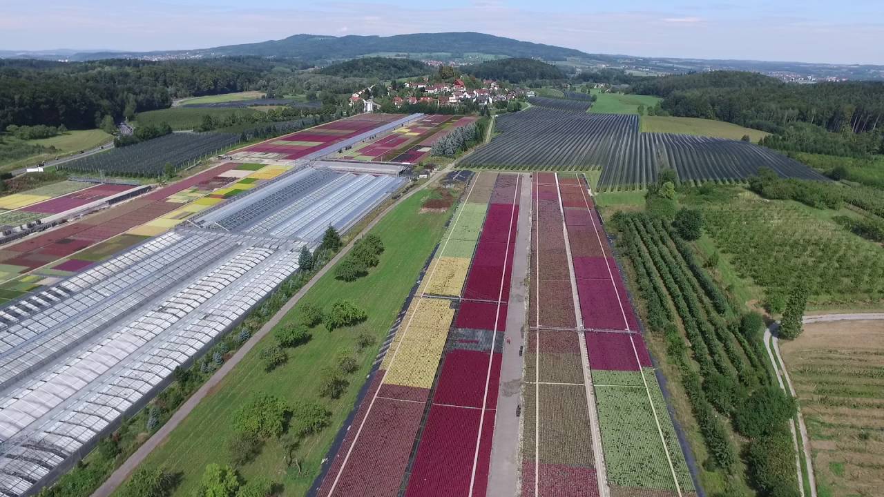 Betriebsgelände Gartenbau Friedrich