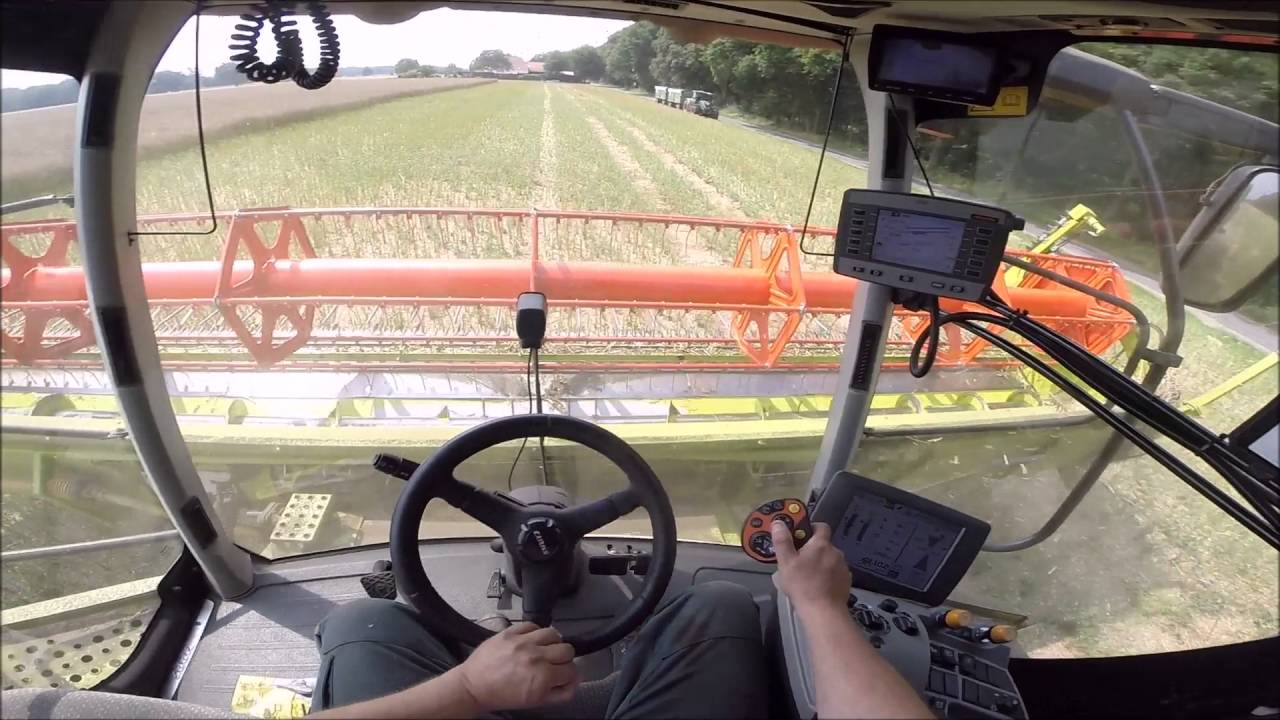 [GoPro] Claas Lexion 760 im Raps | Cabins View *HD*