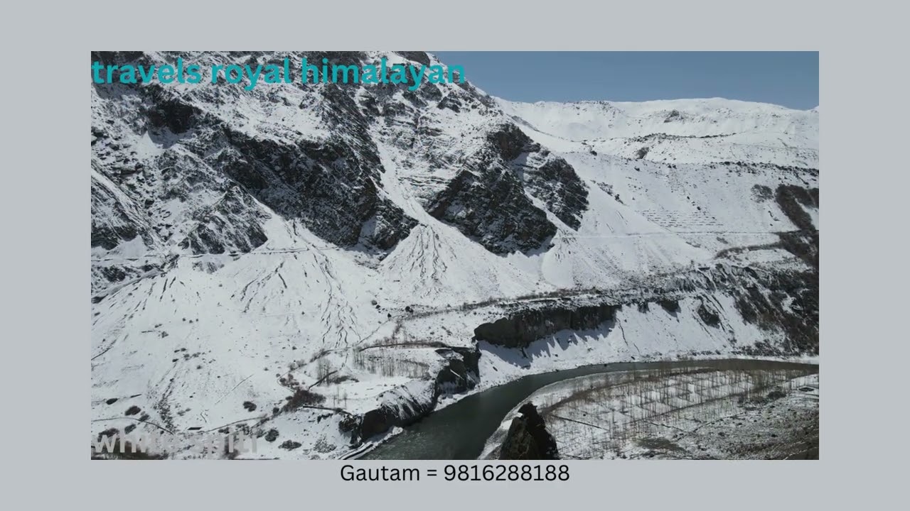 WHITE SPITI