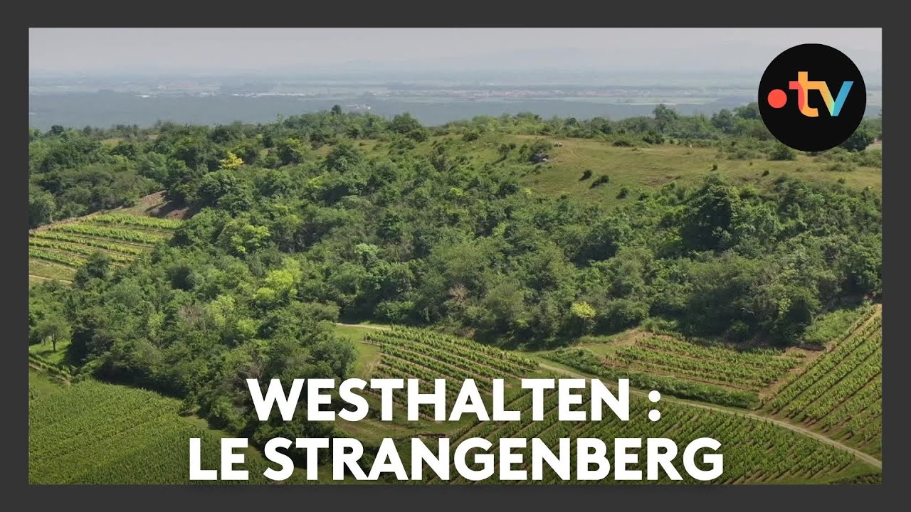 Un lieu, des histoires à Westhalten : le Strangenberg - Episode 2/4