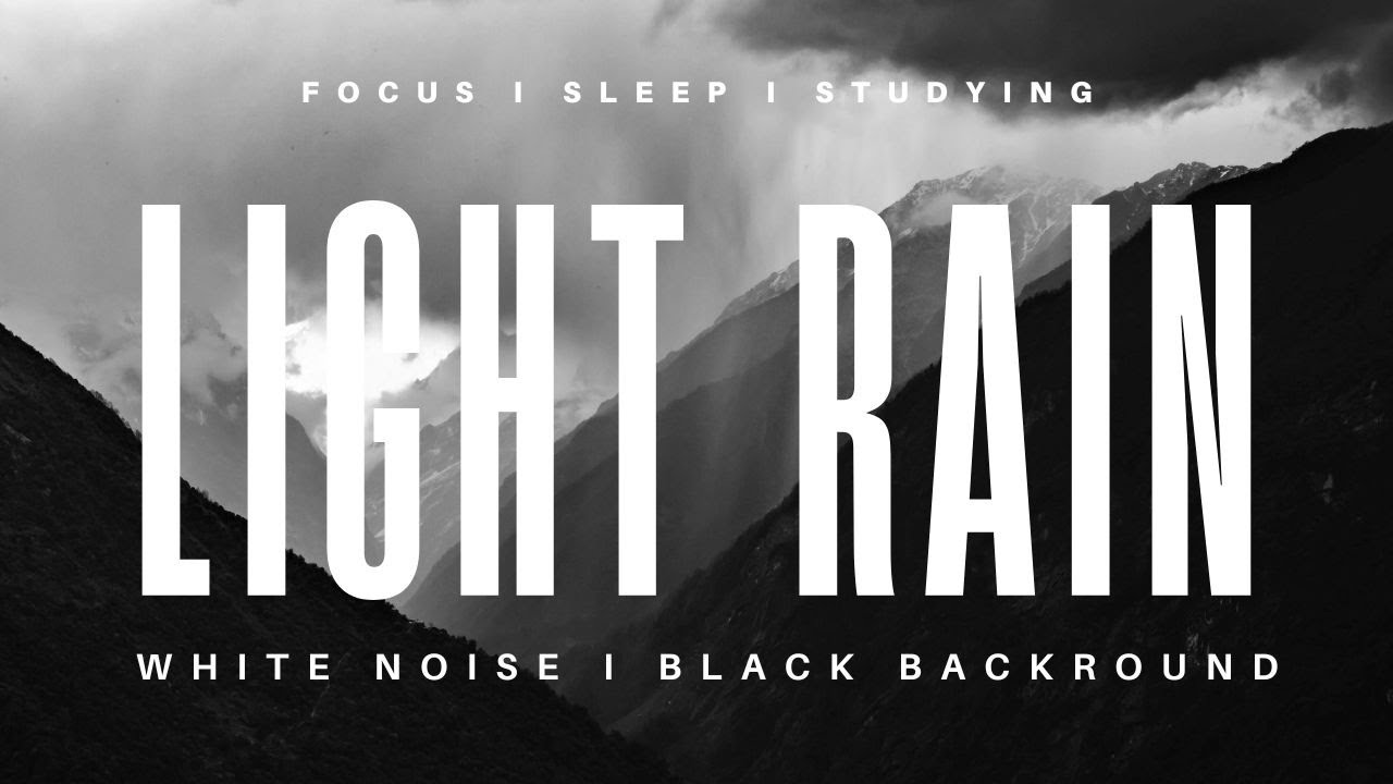 Light Rain l Black Screen l No Ads l Sleep or Study White Noise