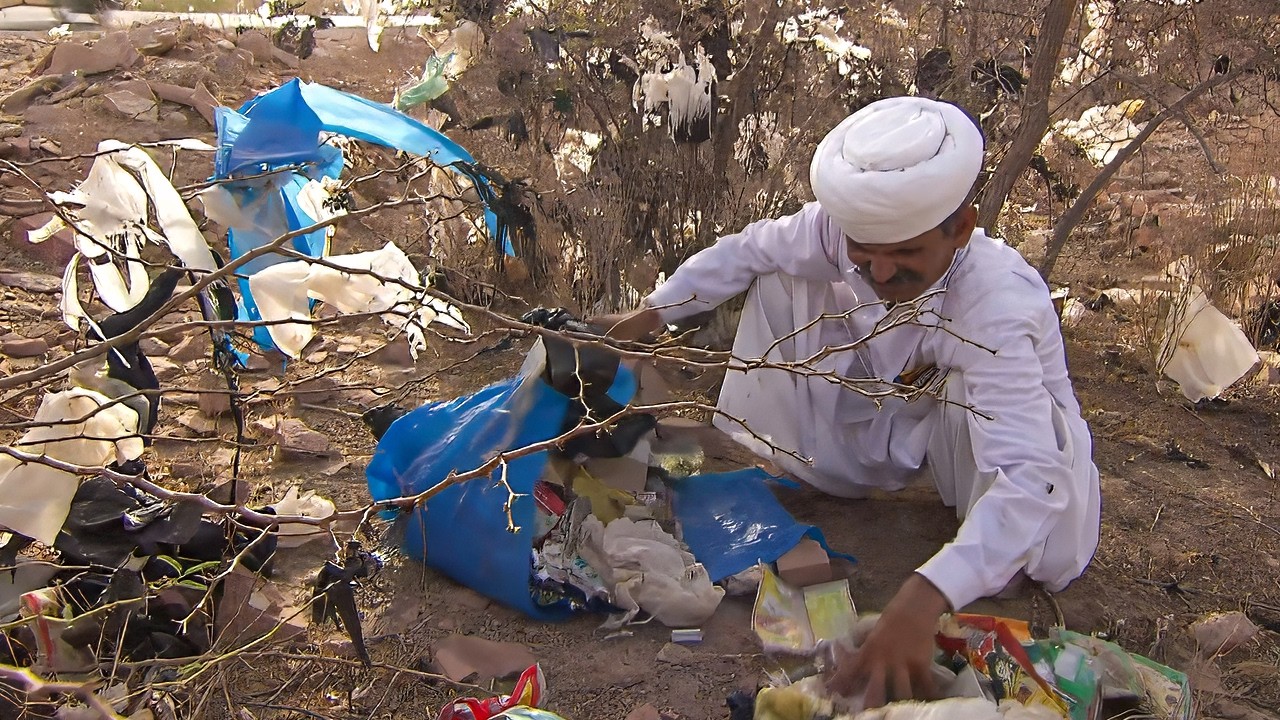 Rajasthan&rsquo;s Bishnois: Martyrs for Nature