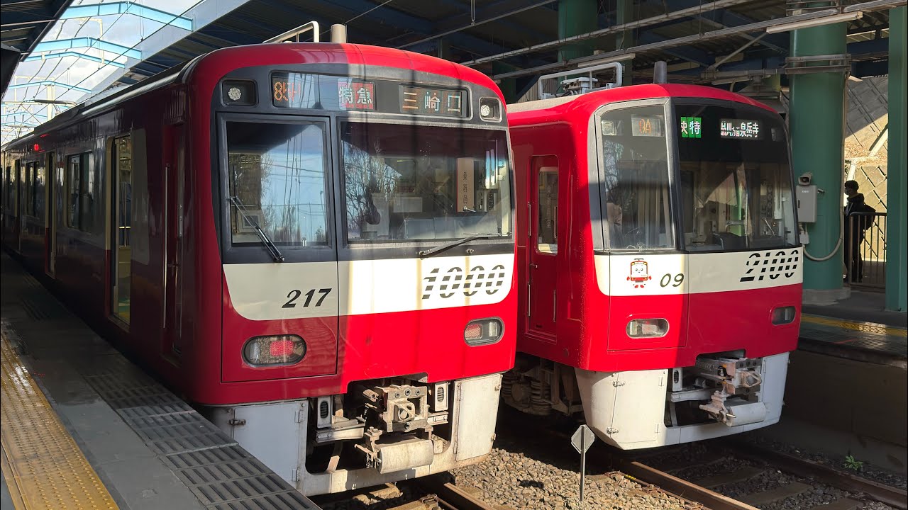 【前面展望】京急 河津桜の時期限定 徐行運転 河津桜のご案内放送 三浦海岸→三崎口