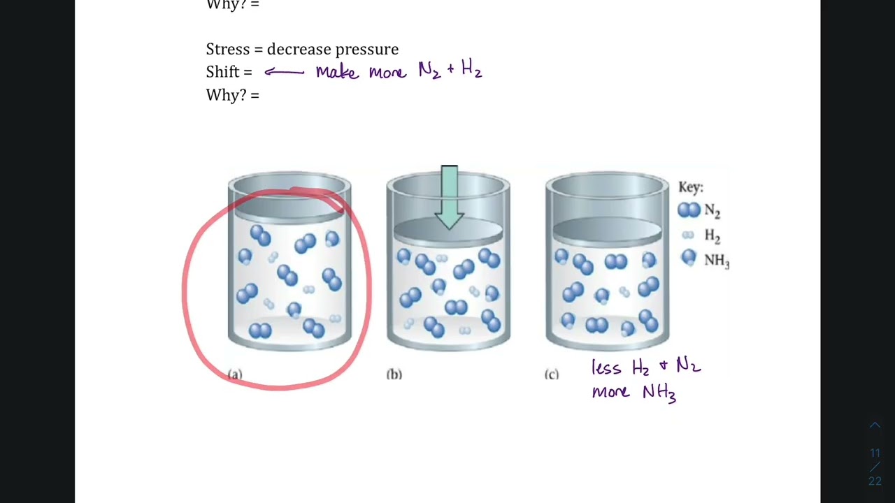 Adv Chem 1 Equilibrium Review