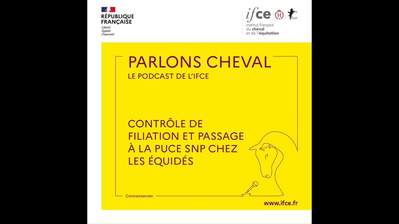 Ép. 85 | Contrôle de filiation et passage à la puce SNP chez les équidés - Armelle Govignon