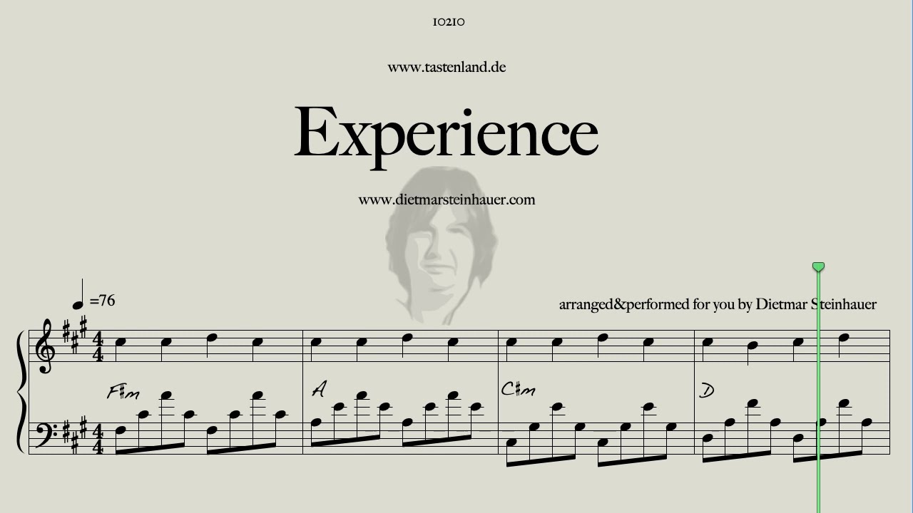 Experience