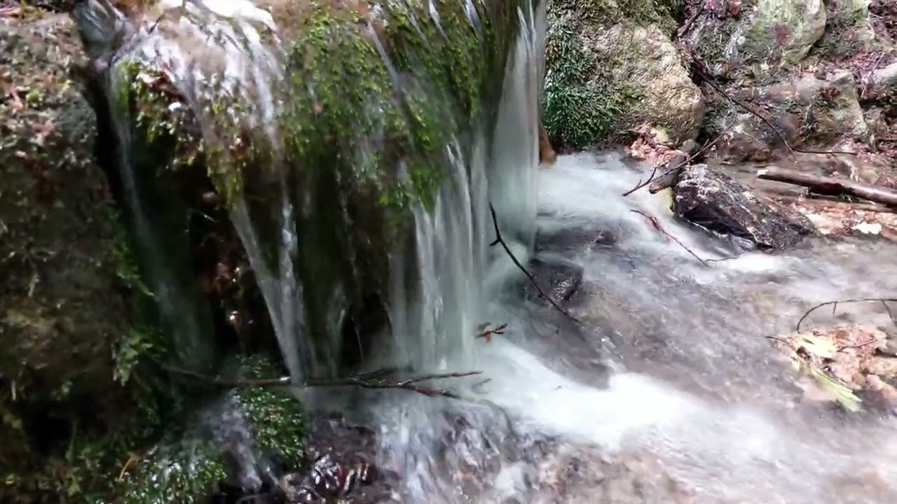 Wanderung im Teutoburger Wald zwischen Dissen und Wellingholzhausen