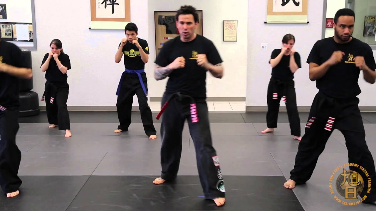 TRAINMEJDF.COM Promo: Front Snap & Back Kicks