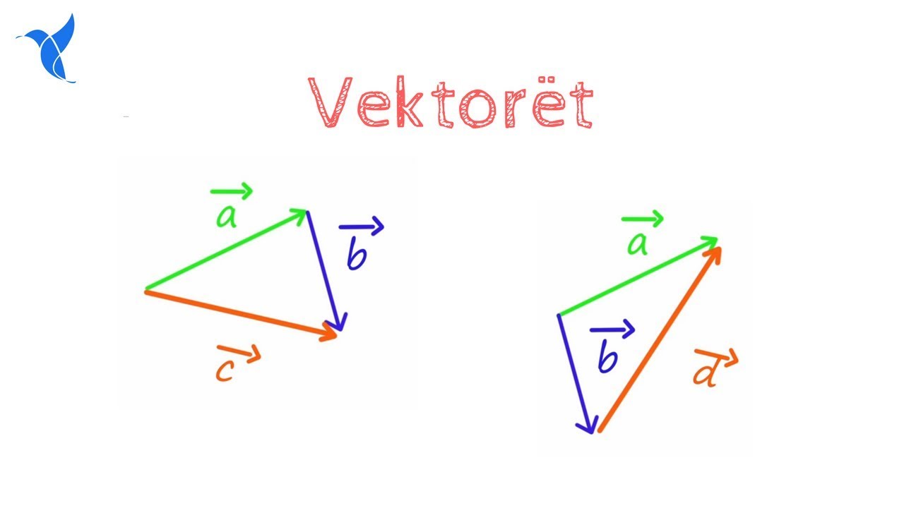 Vektorët