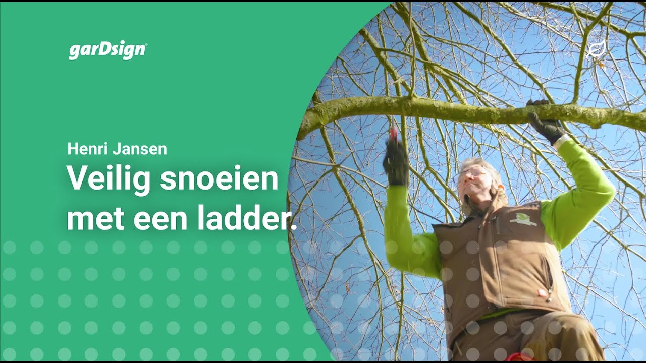 Veilig snoeien op hoogte (tuintrap)