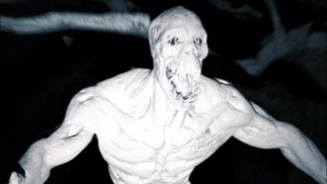 KING MICHEL - AY, QUE MIEDO!