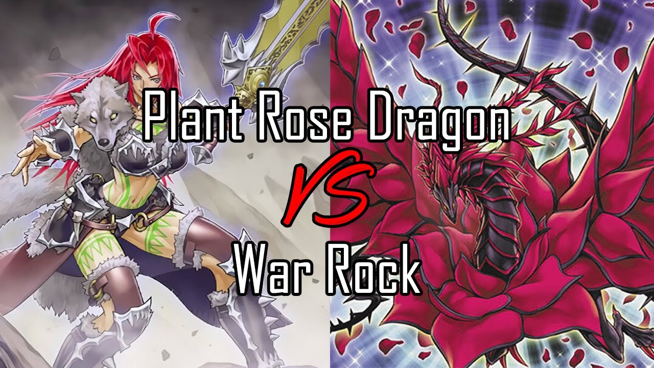 YuGiOh! Live Duel! | Plant Rose Dragon VS War Rock | Live Duel & Combos