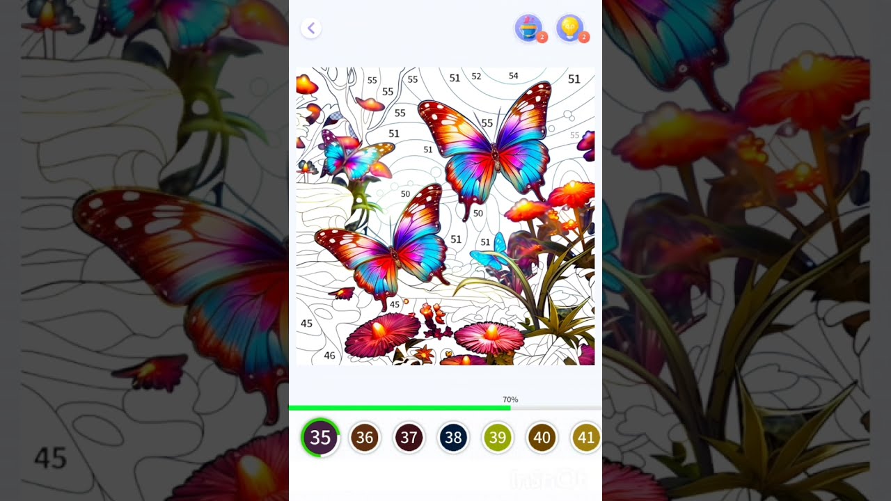 Fancy Color - Paint By Number