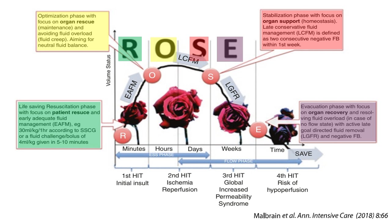 Circulatory shock resuscitation: Essential rules and common mistakes