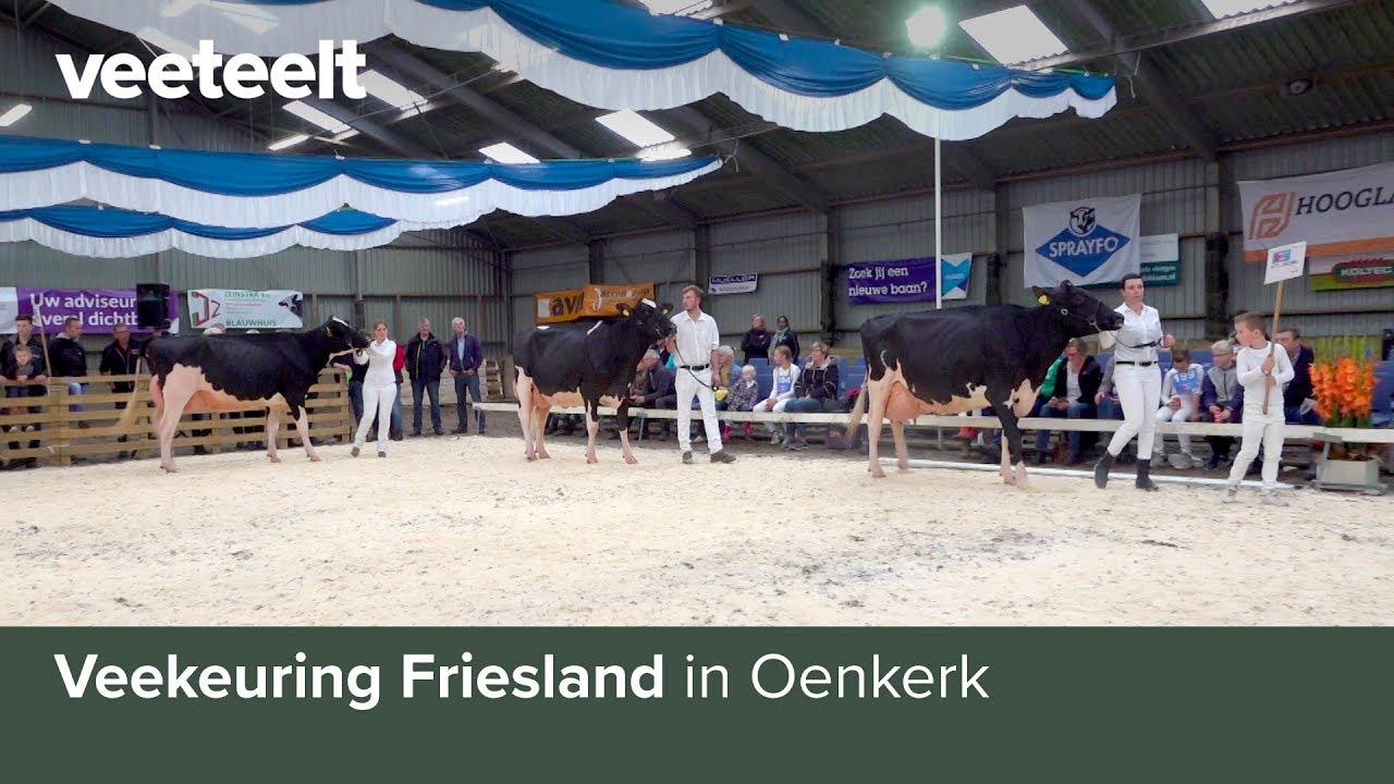 Veekeuring Friesland in Oenkerk