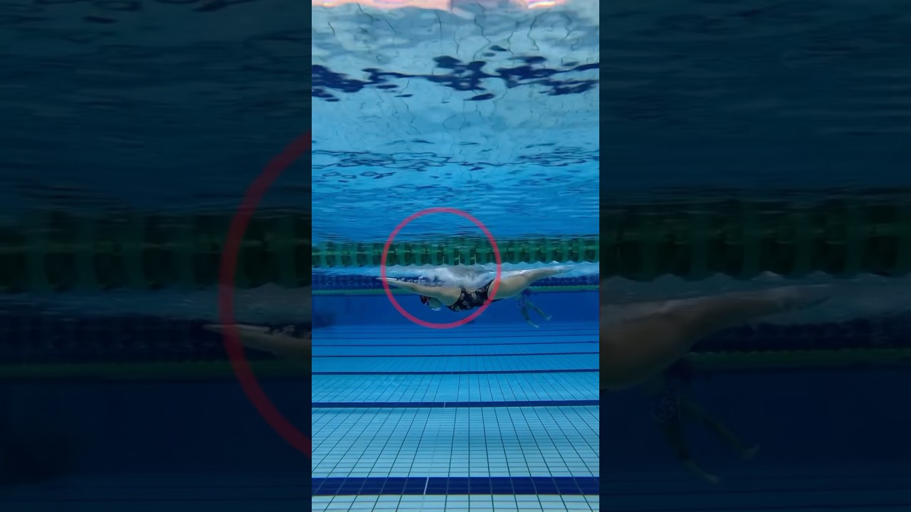 🎯 Master the Butterfly Stroke Step by Step!