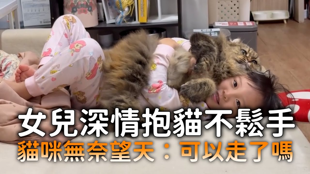 女兒深情抱貓不鬆手　貓咪無奈望天：可以走了嗎