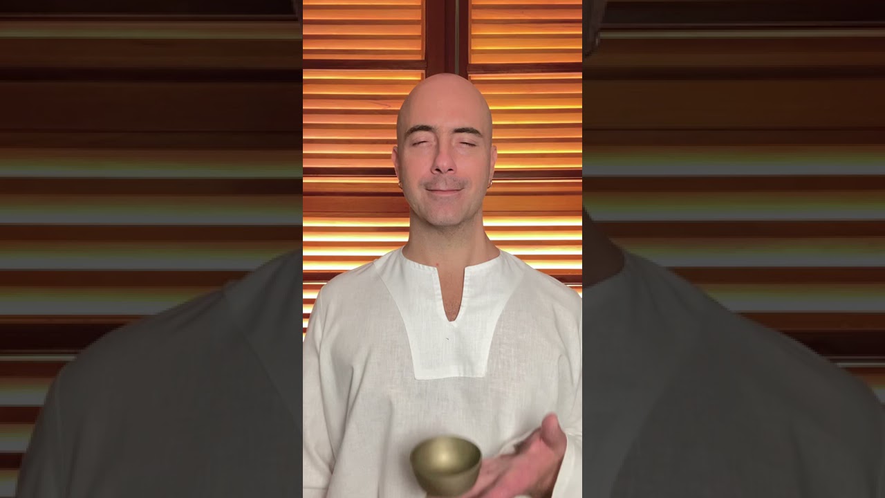 🌟 a meditação do novo