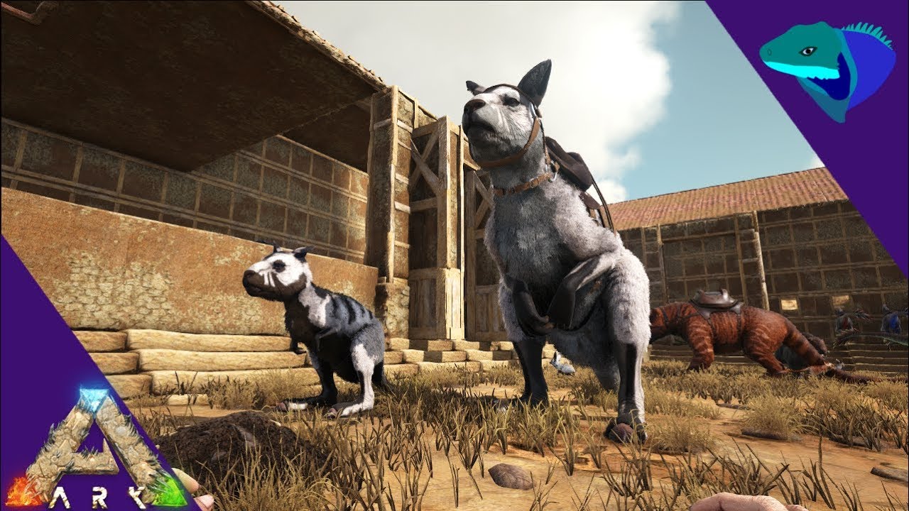 PROCOPTODON TAMING AND BREEDING! SOMETHING BAD HAPPENS! Solo Ark: Scorched Earth [S1:E16]