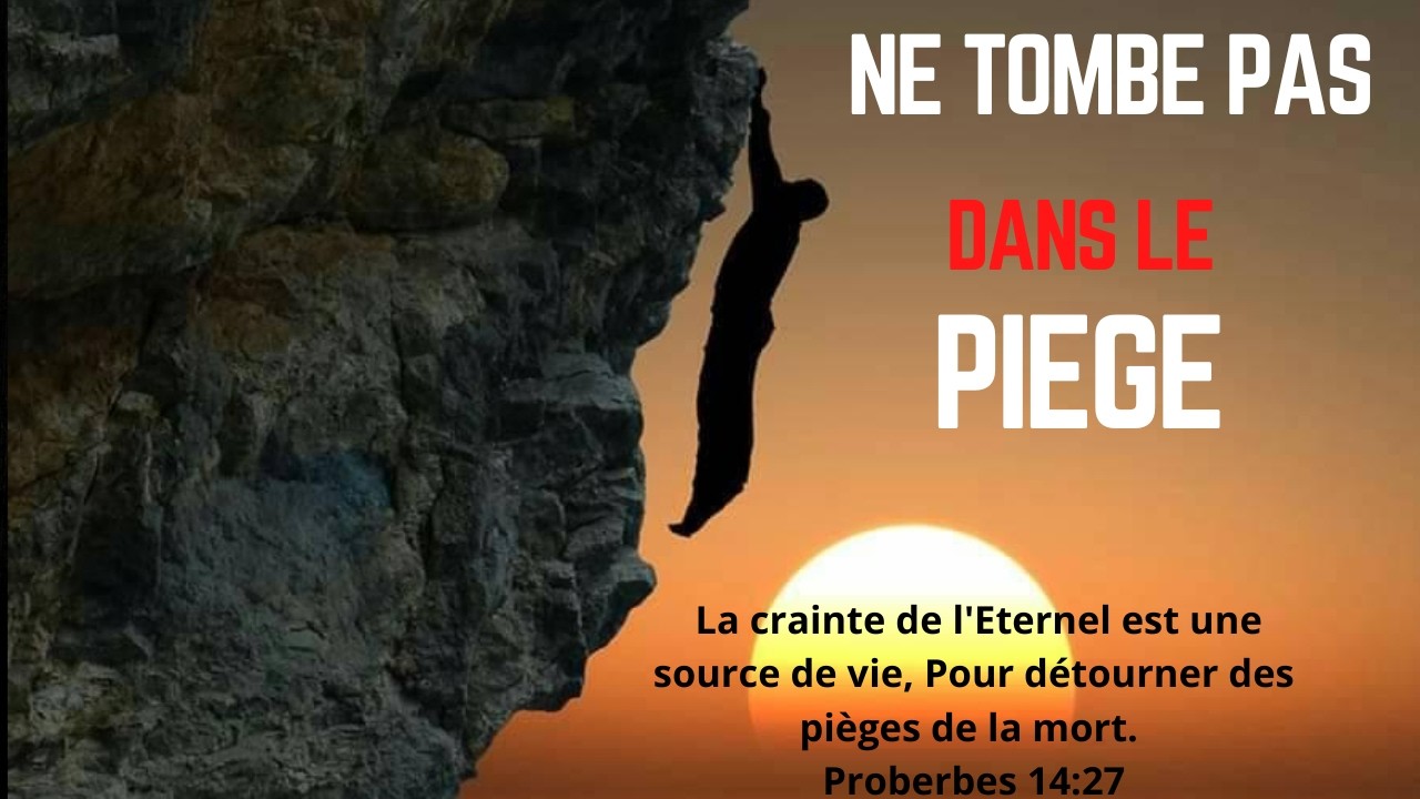 ILS NOUS TENDENT DES PIEGES 2/2
