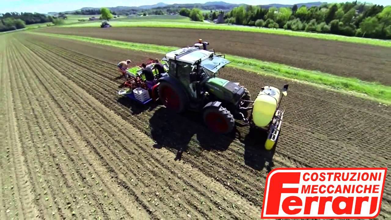 FERRARI TRANSPLANTER MODEL ROTOSTRAPP  - LETTUCE - TOP VIEW