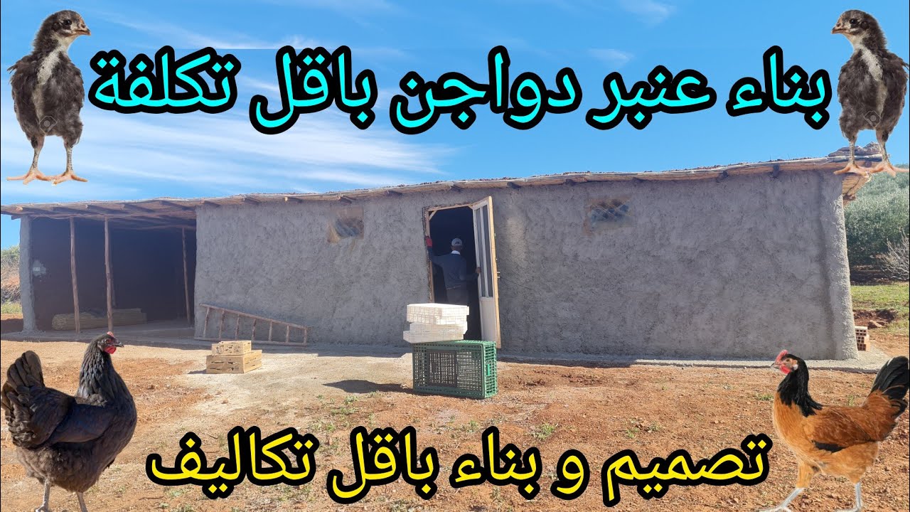 شوفو كوري مبني بالقصب و العود/ تربية الدجاج و تحضين الكتكوت