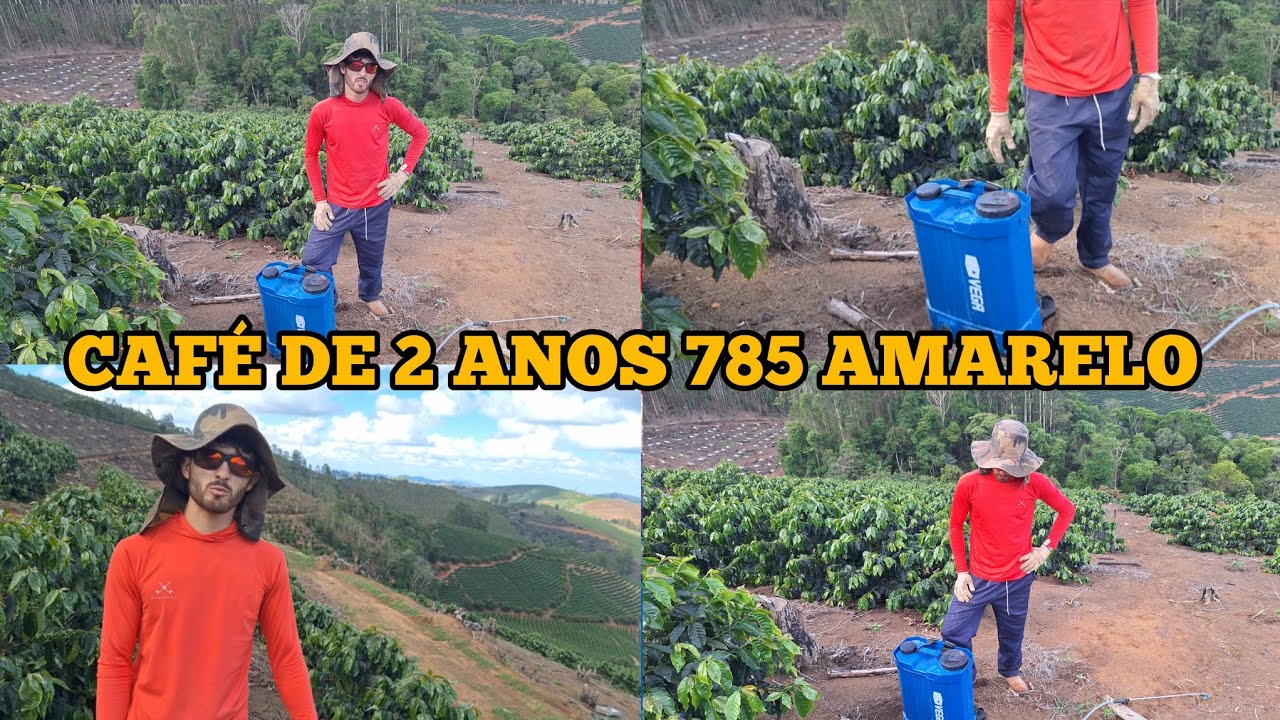 DA AMÉRICA AO CULTIVO DE CAFÉ NAS MINAS GERAIS