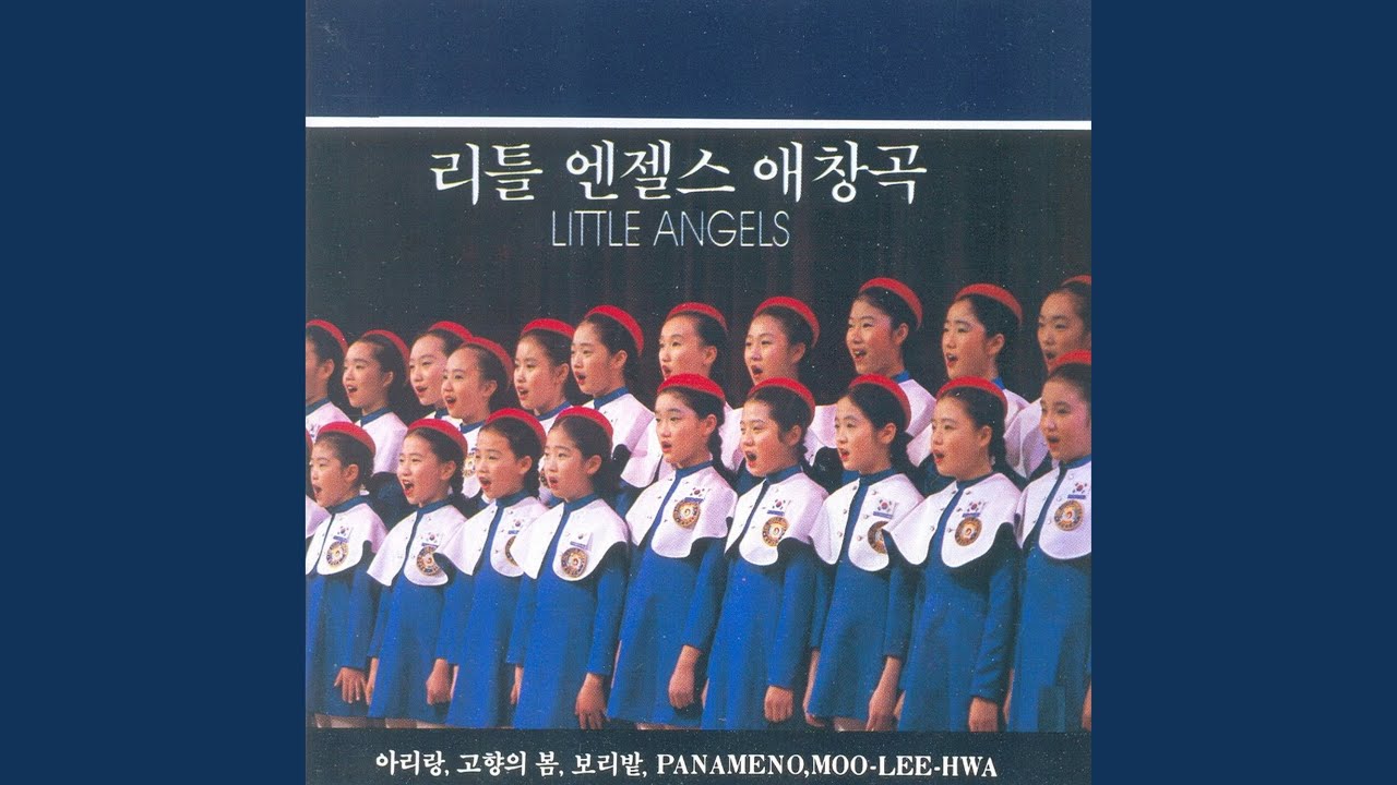 도라지