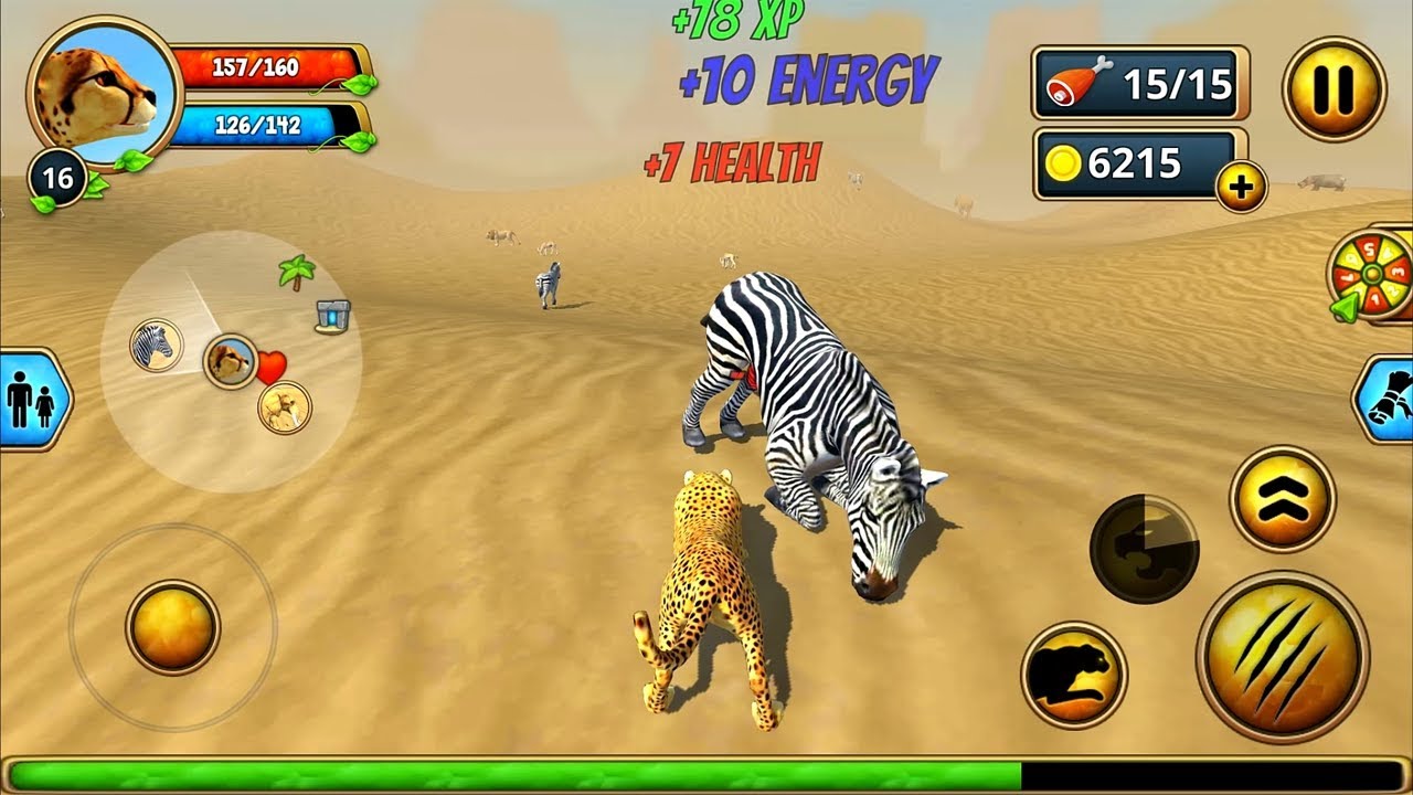 Cheetah Family Sim - Animal Simulator Android iOS Gameplay #4