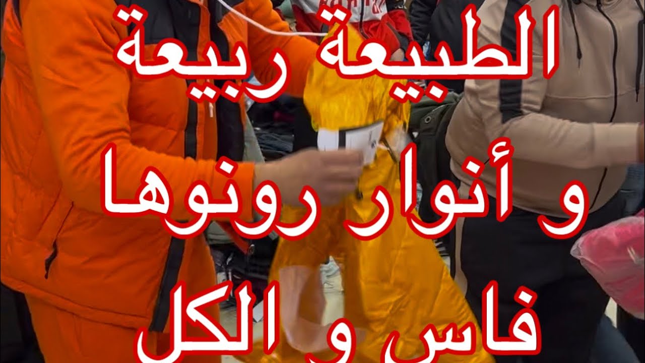 روينة صولد خطييير