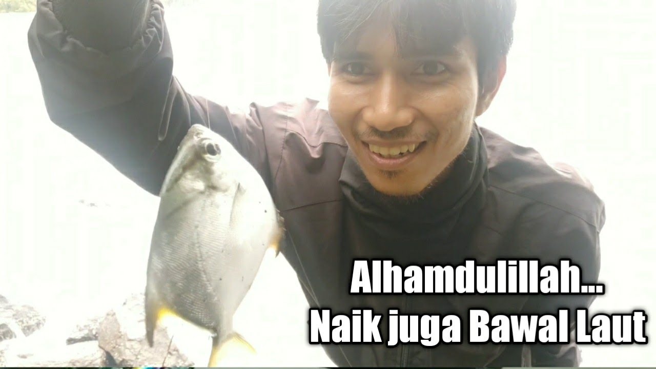 Mancing bawal laut Arie Kalbar pakai umpan udang di Gunung meru