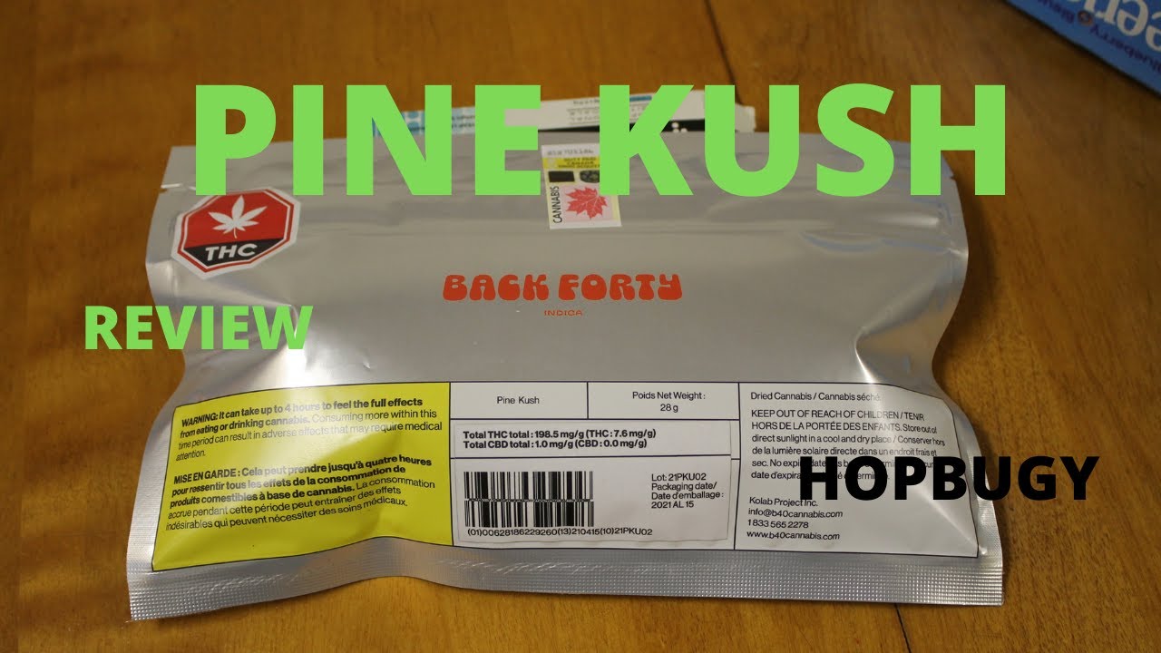 Pine Kush Back Forty Indica 19.8% Thc REVIEW