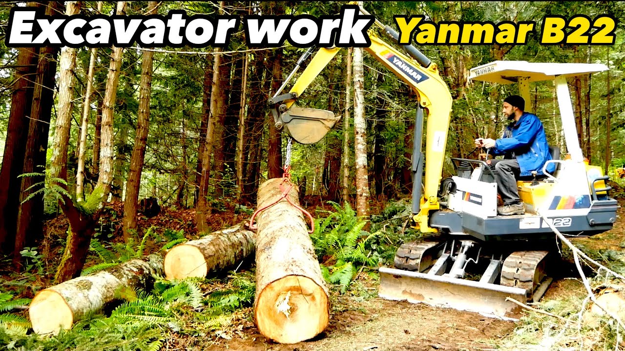 Yanmar Excavator and Articulating Dump Truck Clearing Land Part 1