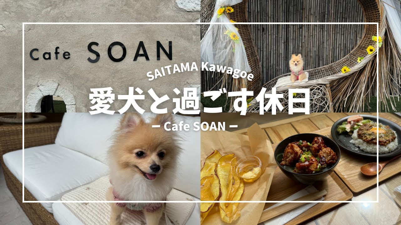【犬とお出かけ】川越市CafeSOANに行ってみた！