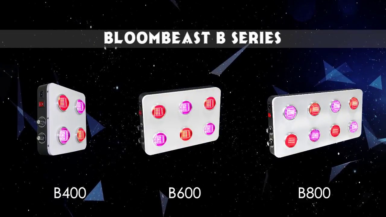 BloomBeast B series LED Grow Lights