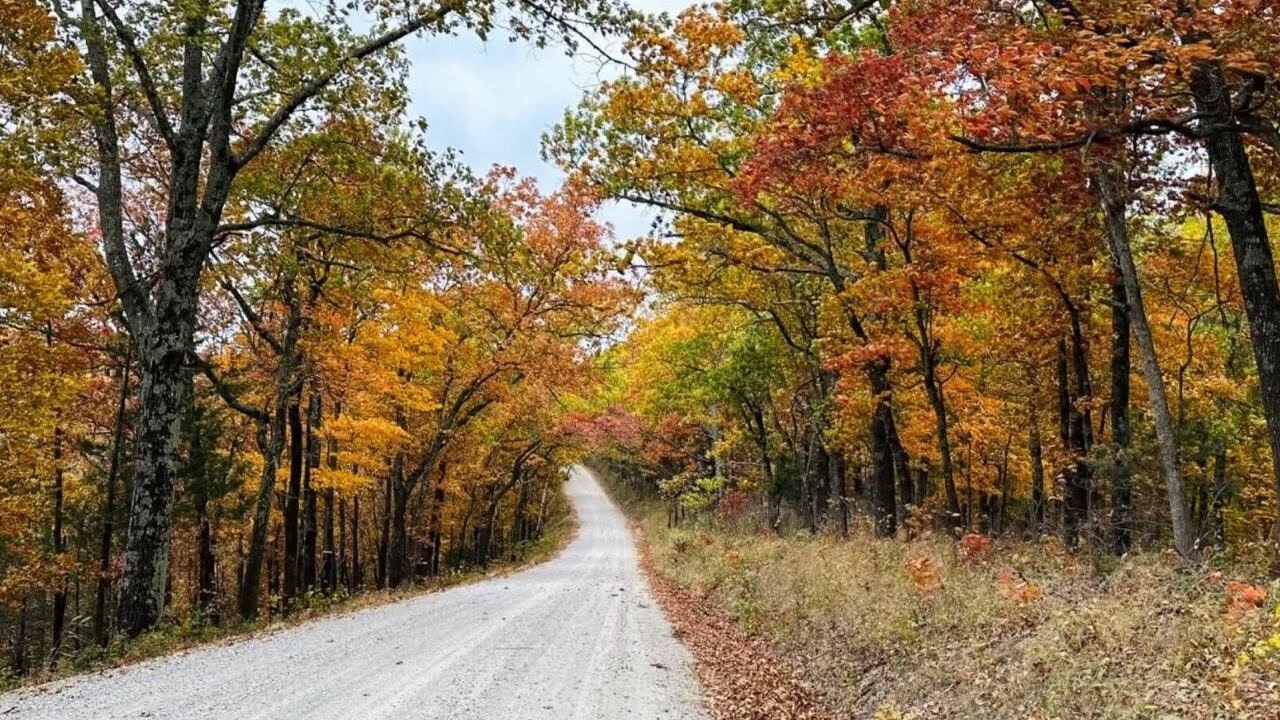 Fact Finders: The reason the Mark Twain National Forest looks like a patchwork park on the map