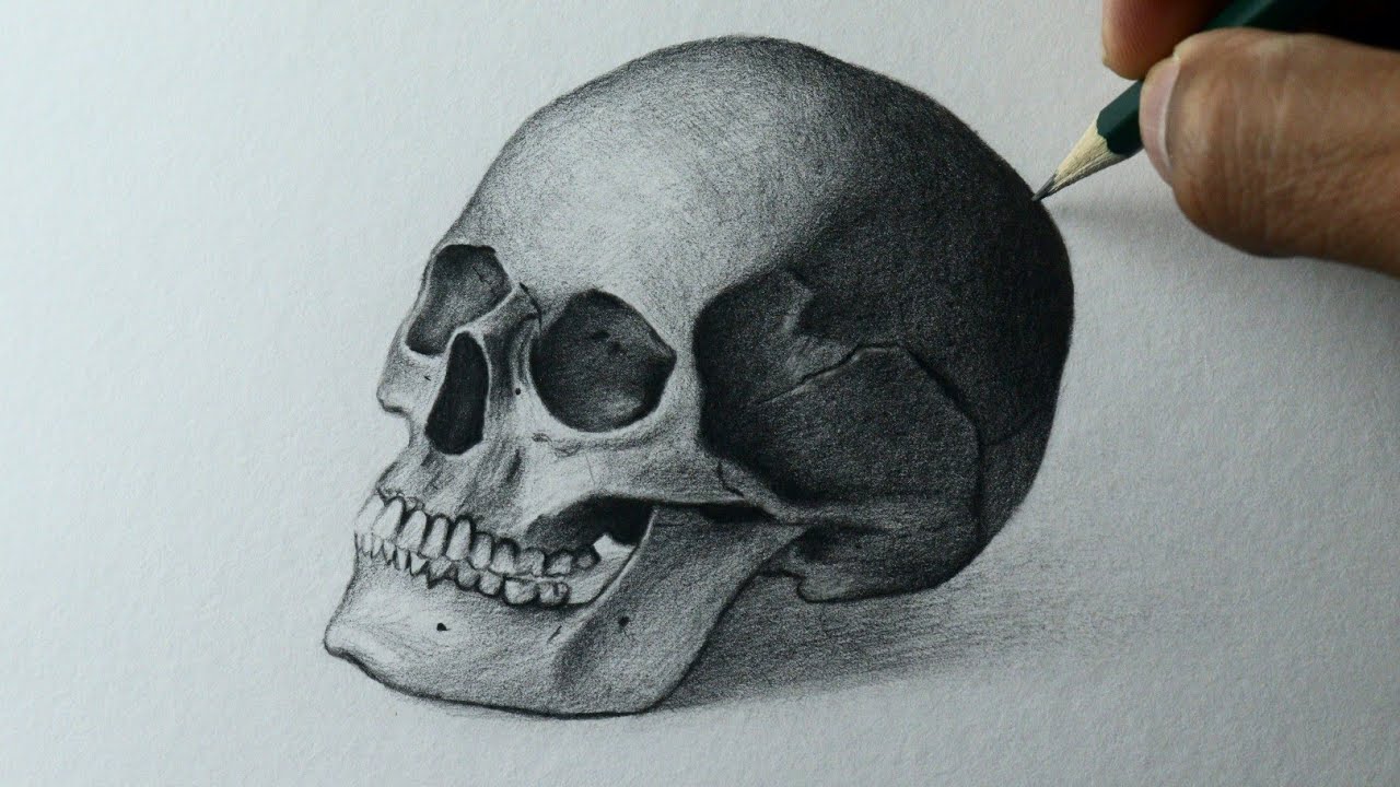 Como desenhar uma Caveira realista PASSO A PASSO narrado